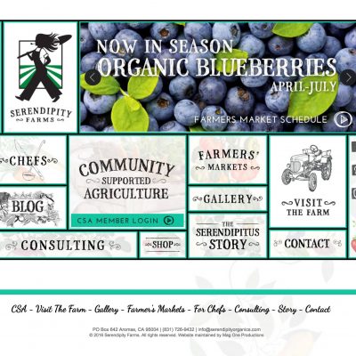 Serendipity Organic Farms