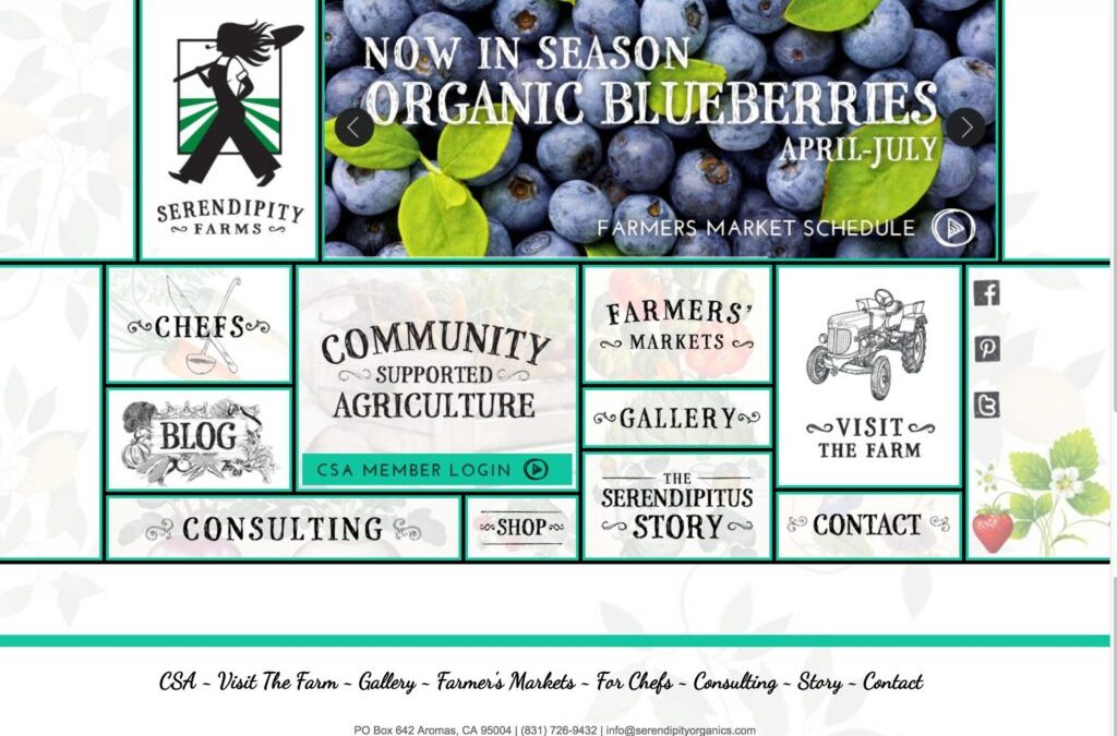 Serendipity Organic Farms